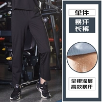 Потные брюки