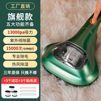 Зеленый+аксессуары (3 фильтрационного элемента+3 липкие волосы)