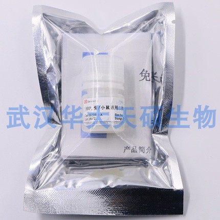 实验试剂 免疫组化二抗 （兔、小鼠）HRP 兔/小鼠通用二抗G1210-2