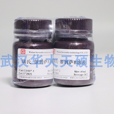 Servicebio瑞氏-姬姆萨染色液 血液和骨髓涂片染色G1007 包邮开票