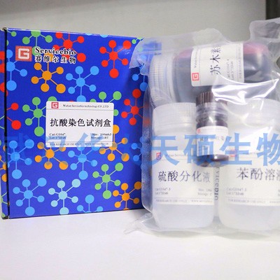 Servicebio 抗酸染色试剂 革兰氏染液 微生物染色 G1065 科研试剂