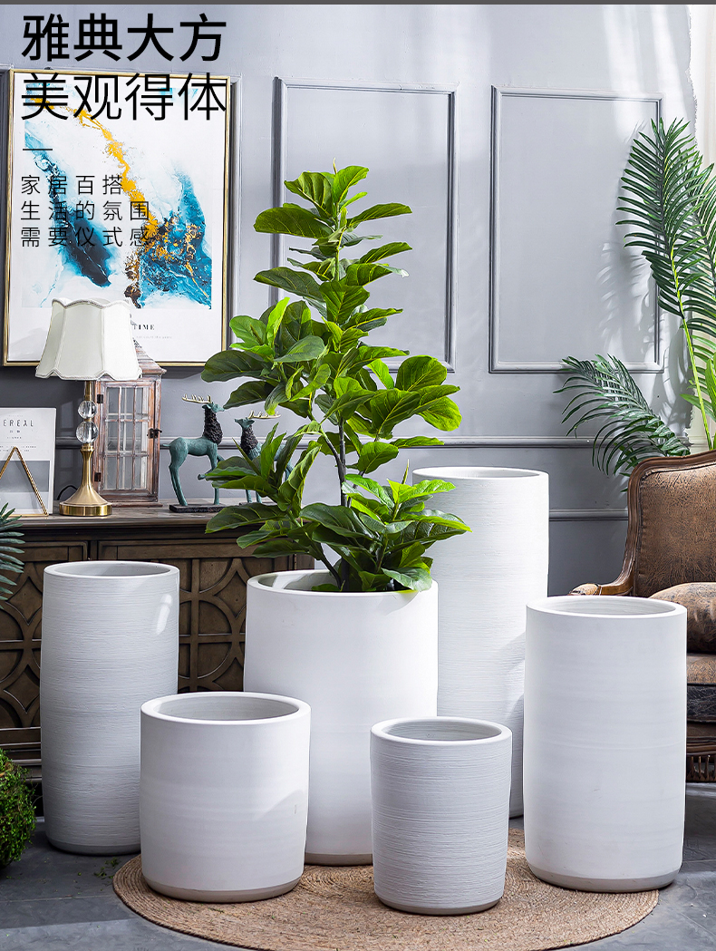 I and contracted large pot villa interior furnishing articles ceramic large ground the plants green plant white vase