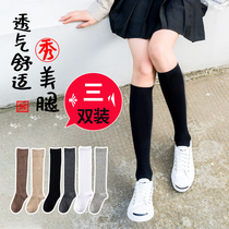 Calf socks womens summer stockings Japanese high tube ins tide summer street black jk cotton long tube autumn and winter
