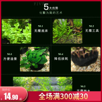 Fish Tank Real Lump Grass Oxygenated Fresh Water Live Water Grass Aquatic Plants Purifies Water Quality Sloth View No Need To Bottom Chaumos