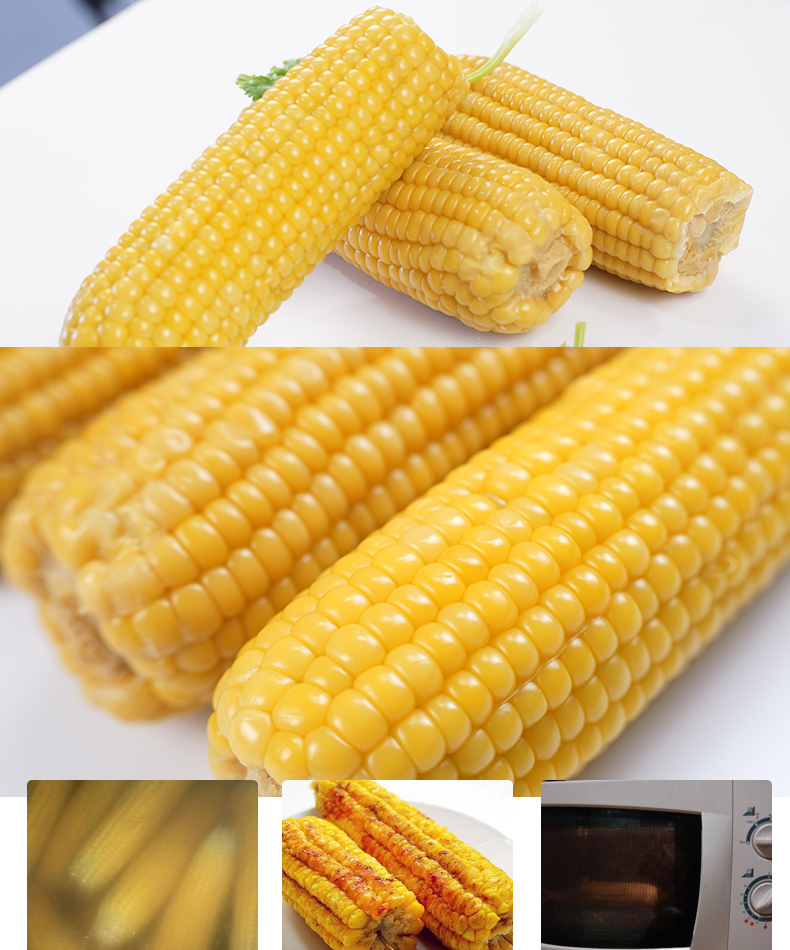 东北黑龙江甜糯玉米 10穗 图4