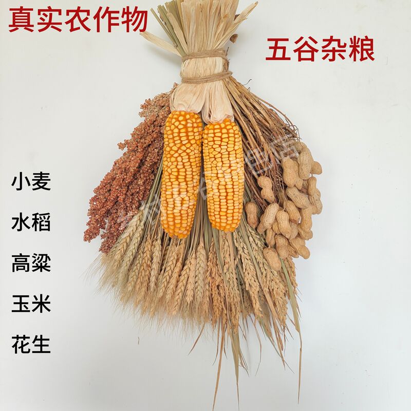 Farm Crops Decoration Farmhouse Pendant Dry Corn Skewers Grain Ornaments Harvest Festival Autumn Collection Props Courtyard Pendant Farm Crops Decoration Farmhouse Pendant Dry Corn Skewers Grain Ornaments Harvest Festival Autumn Collection Props Courtyard Pendant