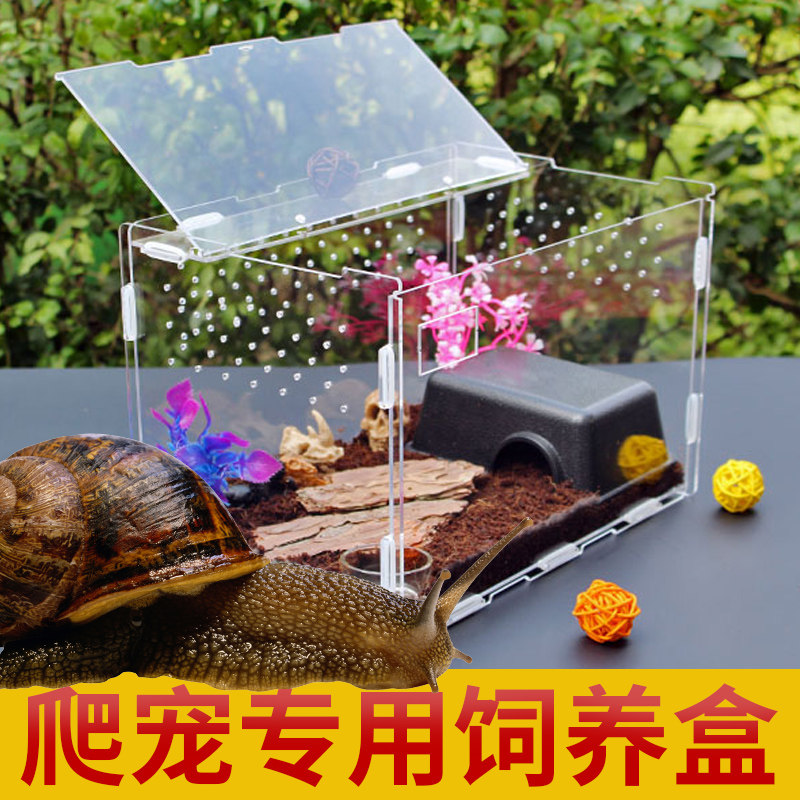 Acrylic snail feeding box to send soil mantis spider scorpion hermit crab gecko general crawling pet box