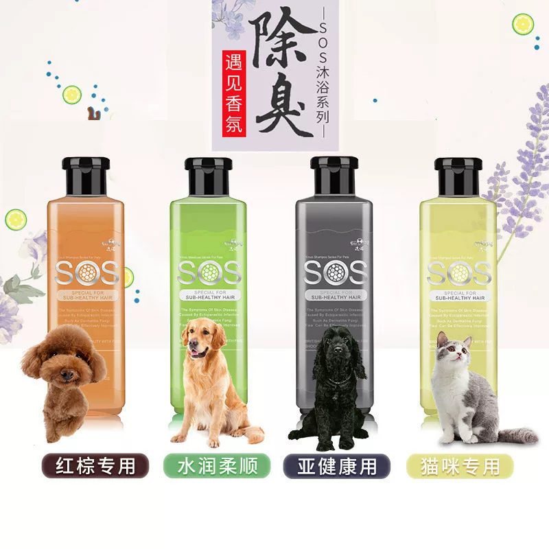 Gel tắm cho chó SOS Teddy Golden Retriever Khử trùng khử mùi Panda tắm đặc biệt dầu gội vật nuôi - Cat / Dog Beauty & Cleaning Supplies