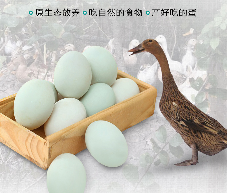绚哥 农家青壳土鸭蛋 30枚 3.6斤 图3