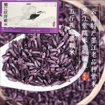 Yunnan Mojiang purple rice germ blood glutinous rice black 5kg coarse grains coarse Mojiang authentic Hani specialty new rice Zhuo Nanwei