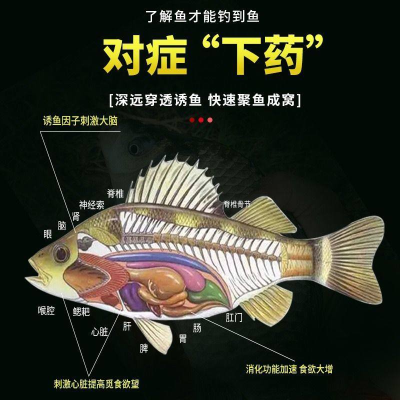 Qianlixiang Small Medicine Fishing Attractant for Wild Fishing, Special Bait for Crucian Carp and Carp, Amino Acid Bait for Autumn and Winter
