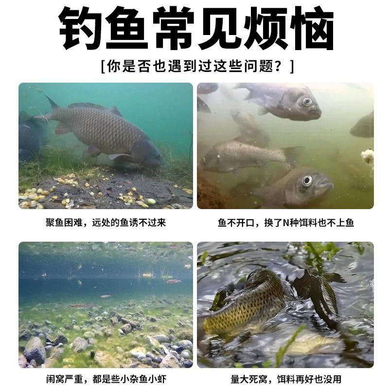 Qianlixiang Small Medicine Fishing Attractant for Wild Fishing, Special Bait for Crucian Carp and Carp, Amino Acid Bait for Autumn and Winter