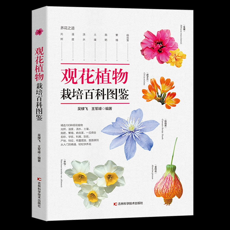 观花植物栽培百科图鉴介绍各种观花植物的科属种学名别名原产地繁殖日照温度土壤水分形态特征及应用方法家庭阳台养花种花