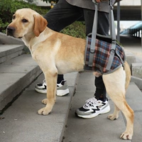 Ремешок для ноги питомца для выгула собачьи ноги для защиты инвалидности задних ног и травма