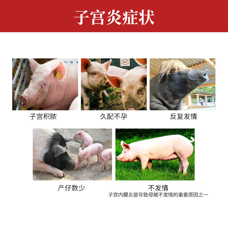 最新无痛分娩技术解析，小白必看，拯救你的分娩恐惧！