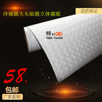 Cold mounted film large head film film photo film dry flower protection film film film film film