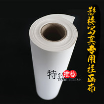  Ni Cai digital supplies 31cm*50m 260g high-end waterproof photo hanging canvas) Photo studio special wall hanging cloth