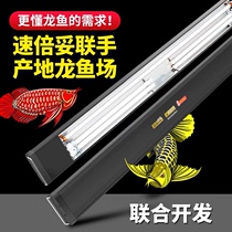 Speedy dragon fish lamp special color lamp tube fish tank brightening lamp red dragon blood parrot roasted color lamp led full spectrum