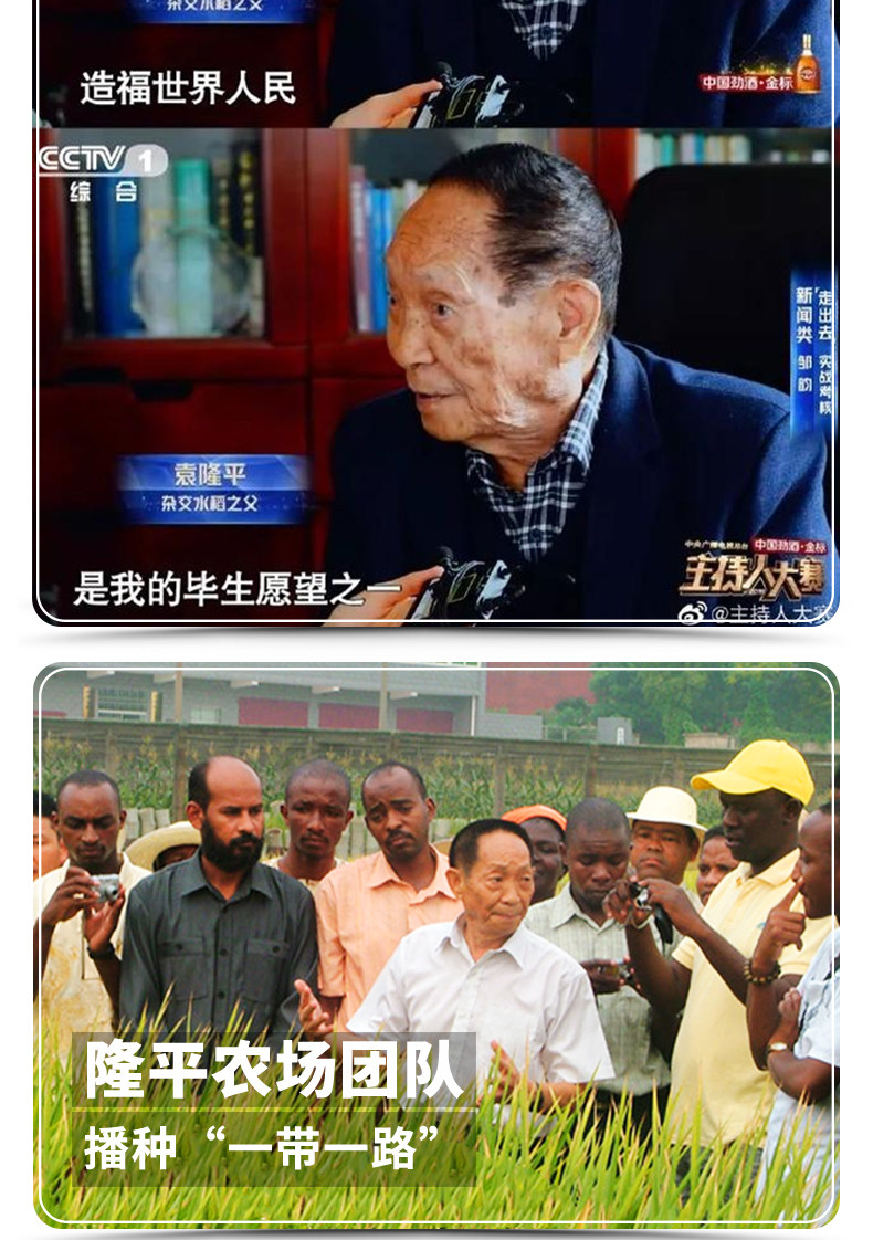 袁隆平 辽河基地大米 东北蟹田米 10斤 图8