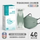 [Медицинский n95 серебристо-зеленый] 40 шт/2 коробки [со стальной пломбой ✅Индивидуальная упаковка]