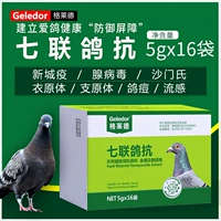 Grald Qilian Pigeon Anti -Credit Голубь -голубь лосось Син -Сити Эпидемический Голубь Голубь Аденовирус Аденовирусный вирусный вирус.