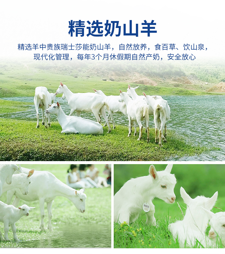 卓牧 高端 无蔗糖高钙纯山羊奶 200ml*6盒/箱 图4