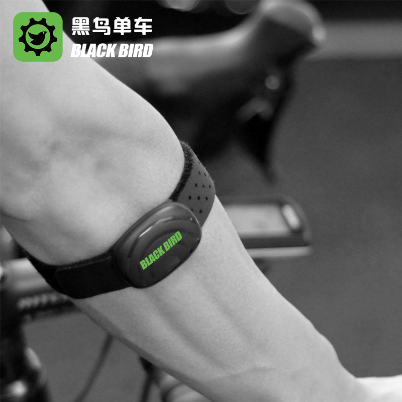 Blackbird (blackbird) dual-mode heart rate armband ant + photoelectric armband with heart rate monitoring