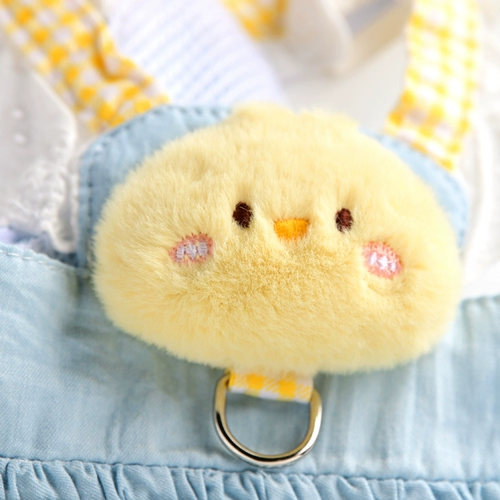 Одежда для любимой собаки