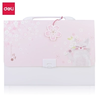 Pink 13 Grid A4-72542