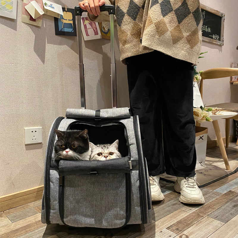Dual-use cat pack Lalever double shoulder bag Cat Bag Out of portable cat Scapegoat Bag Kitty out-of-bag Breathable Folding Cat Cage