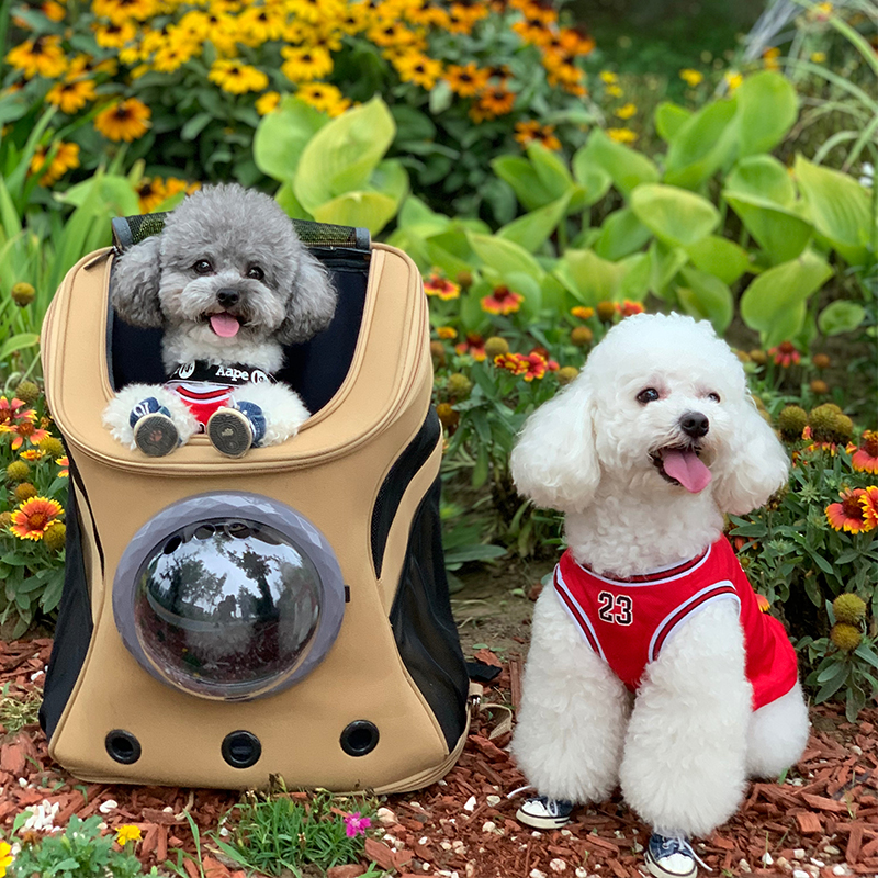 Large Number Cat Bag Out of portable cat Shoulder Bag Dogs Double Shoulder Bag Faro Kiri Teddy Space Cabin Pet Bag Cat Cage