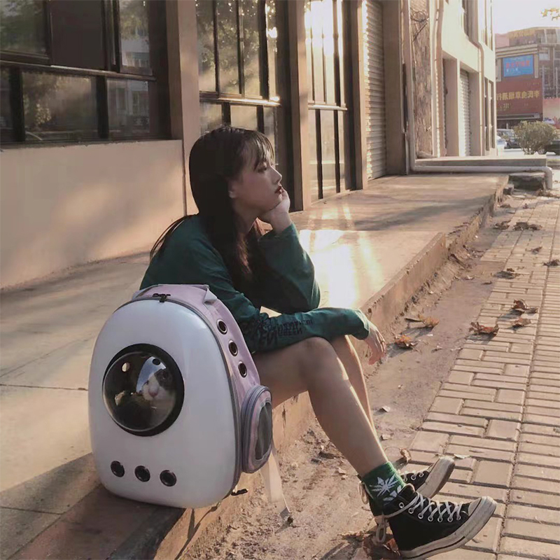 Cat outsourced portable cat backpack capsule dog bookbag cage with hands and hands with cat Teddy