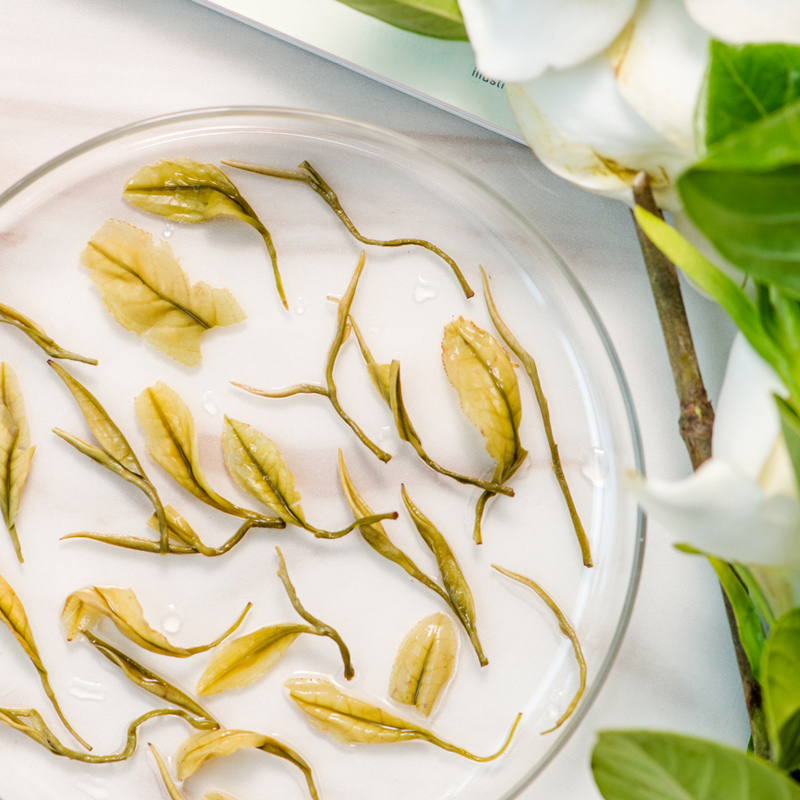 01- Gardenia Green Tea/Leaf Loose Leaf | Fresh Flower Infused Milky White Floral Fragrance Green Fruit Greenery Raw and Astringent Khyrse