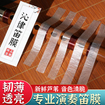 Qinlu flute film professional performance protection flute bamboo flute special flute film set comes with solid flute film glue storage box