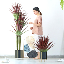 Roman mother Nordic interior decoration floor-to-ceiling simulation plant Bonsai ball Orchid net red potted clothing store ornaments