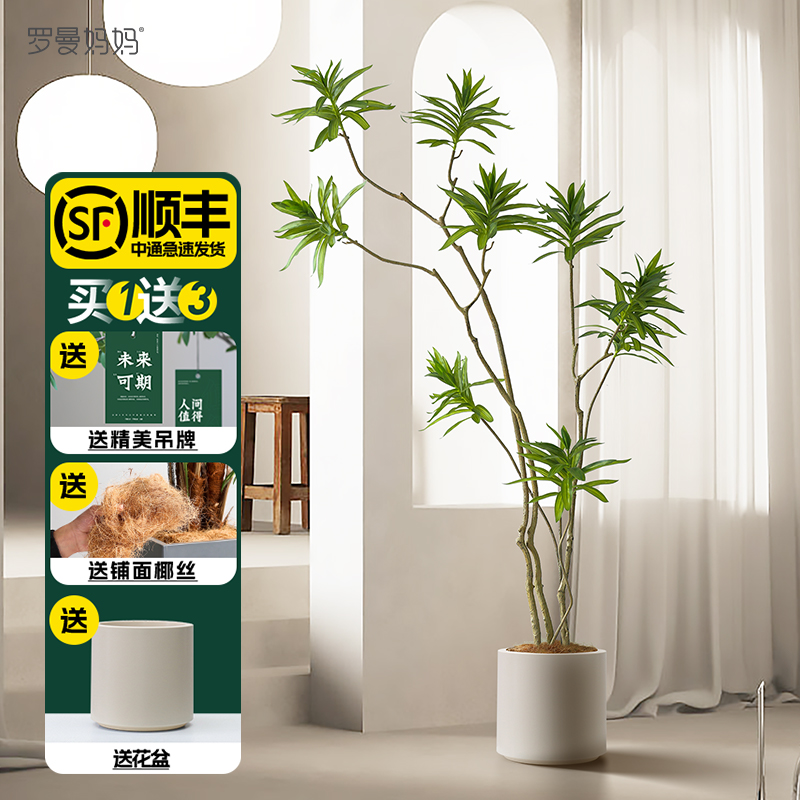 Roman Mom Simulation Lily Bamboo Light Luxury High-end Green Plant Indoor Living Room Fake Tree Decorated Plant Pot Plant