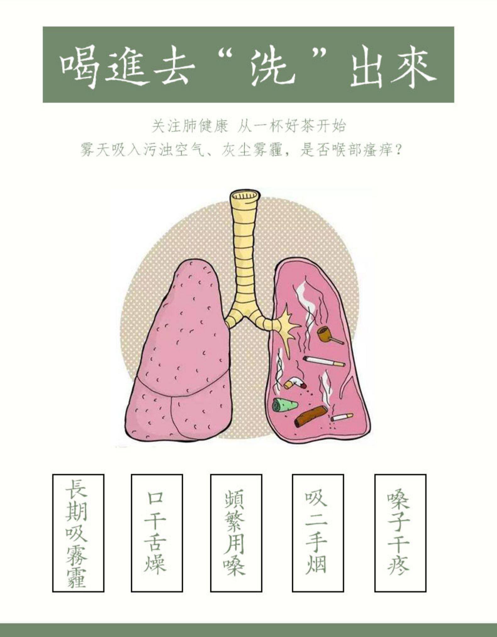 昌济平 罗汉果化痰清肺润喉茶30包 图3
