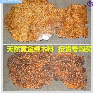 Gold Camphor Wood Stock Log Material Hand Strings Fo Pearl Wood Shank Tumor Scarve Raw Material Wood Carving Solid Wood DIY  