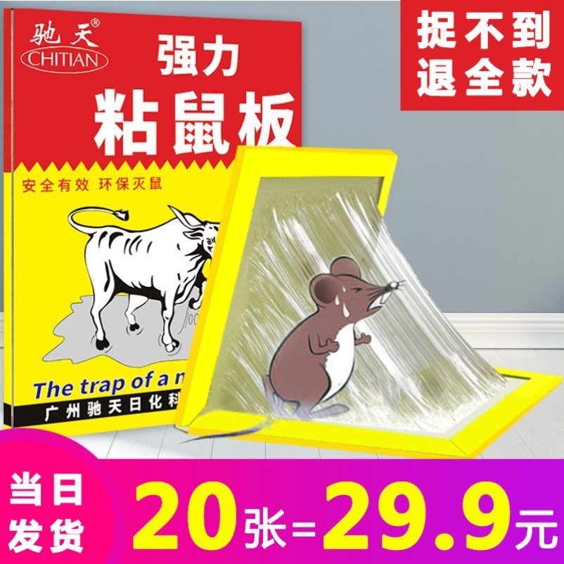 Post-Mouse powerful sticker No. 1 Sticky Rat Board Super big number Commercial non-Peeking King of the King Chinese Four Eyed Cat Black boss Chao