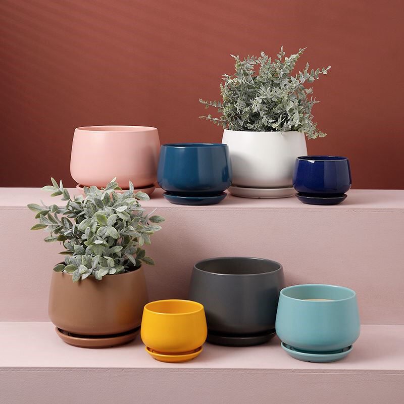 Succulent flower pot ceramic with tray Nordic ins flower pot small white cactus succulent special pot