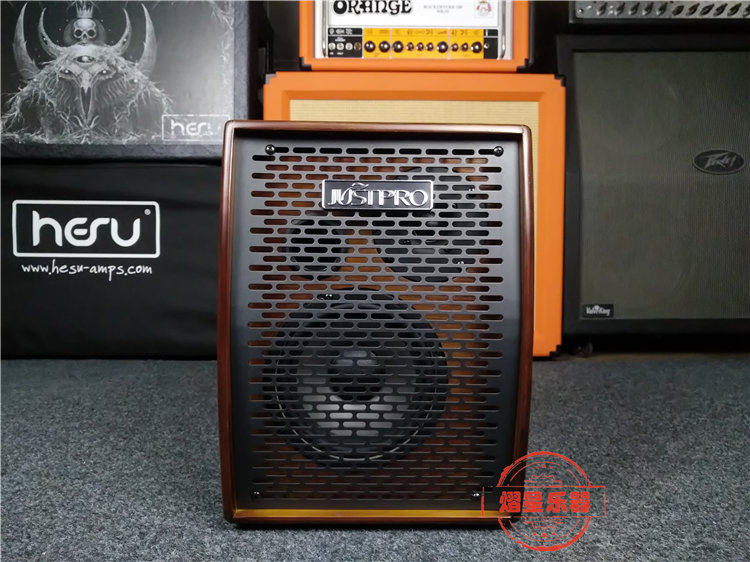 JUSTPRO MX100 Acoustic Guitar Acoustic Guitar Folk Speaker 100W