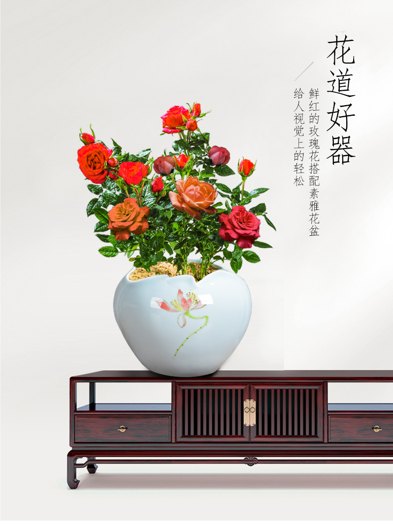 Rose, Rose, special ceramic celadon pot green plant glaze color move contracted Chinese breathable with tray