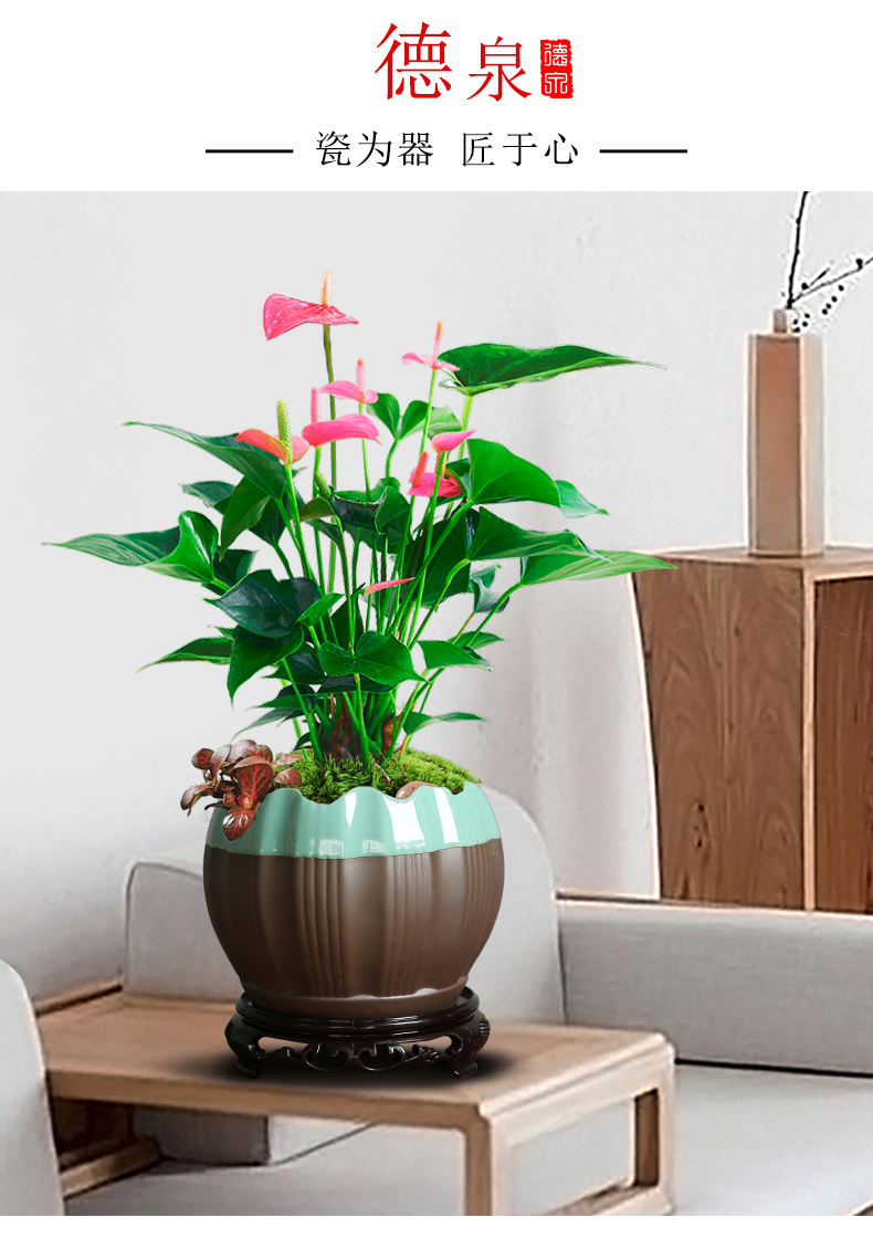 The elder brother of The ceramic up open a piece of rich tree butterfly orchid green plant with big flowerpot mage, fleshy tray was preferential contracted combination