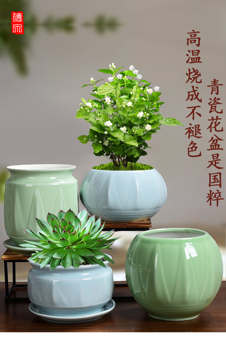 Special ceramic butterfly orchid flower POTS Special tray other desktop Nordic creative move fleshy green plant POTS