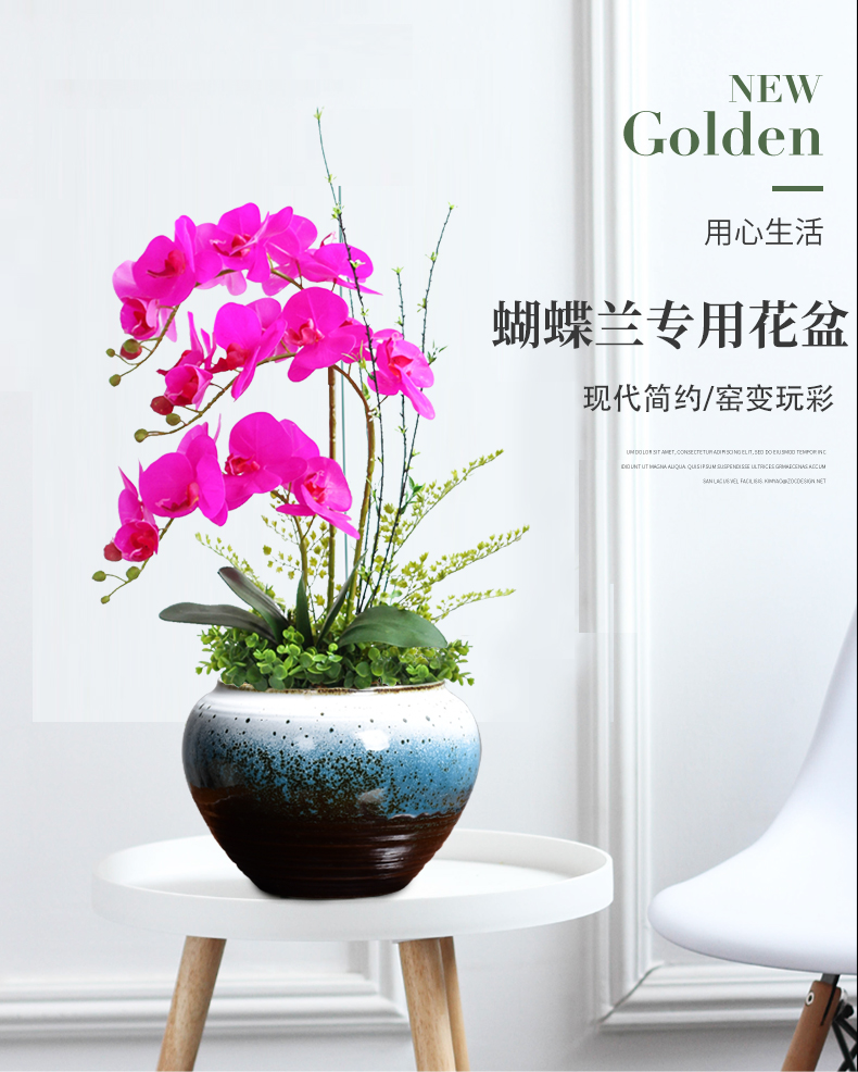 Butterfly orchid special ceramic flower pot shape fleshy large violet arenaceous basin with tray was tire coarse pottery breathable art move