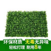 Plant wall indoor and outdoor green plant wall green door column living room background wall plastic fake lawn decoration