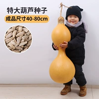 Две тыквы 20 капсул