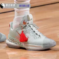 Nike Nike Ambassador XIII Джеймс Envoy 13 Jade Seal Basketball Shoes CQ9329-300