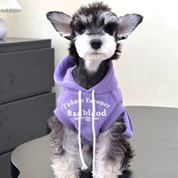 Pet Cat and Dog Clothes, Autumn and Winter Trendy Brand Pure Cotton Sleeveless Sweatshirt, Anti-Shedding, Small and Medium-Sized Dogs, Teddy Schnauzer Sweatshirt