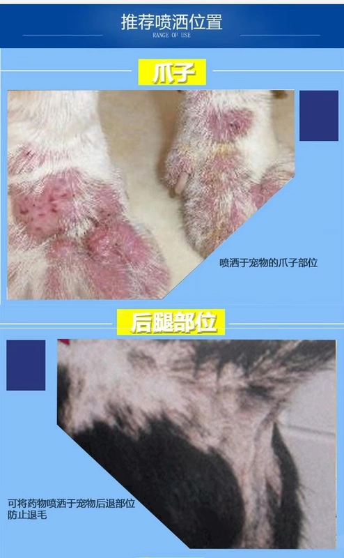 Terbinafine vật nuôi viêm da ngứa mèo mèo ringworm mèo rêu chó rêu chó mủ da kháng khuẩn kháng thuốc phun - Cat / Dog Medical Supplies